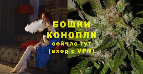 амф Аркадак
