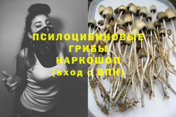 герыч Арсеньев