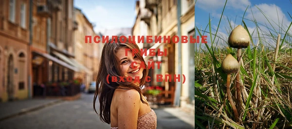 амф Аркадак