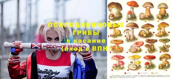 амф Аркадак