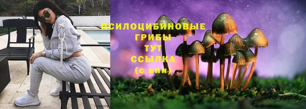 меф VHQ Рославль